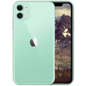 Apple iPhone 11 64GB Usato Grado A Green